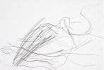 Claudia Thorban, Aronstab, 2003, Zeichnung auf Papier, 29 cm x 21 cm