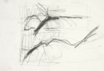 Claudia Thorban, Aronstab, 2007, Zeichnung auf Papier, 29 cm x 21 cm