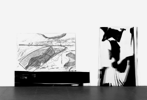 Claudia Thorban, Aronstab, 2003-2004, Graphit auf Leinwand 127 cm x 185 cm, Acry auf Acrylglas 50 cm x 242 cm, Acryl auf Acrylglas 118 cm x 119 cm
