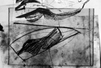 Claudia Thorban, Aronstab, 2004, Zeichnung auf Papier, Folie, 29 cm x 25 cm