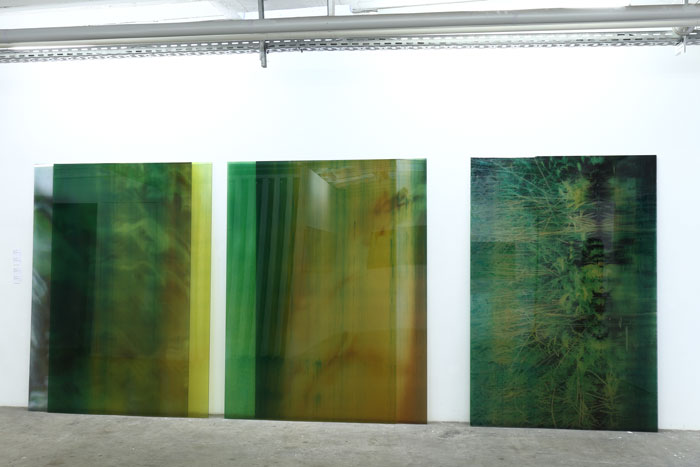 Claidia Thorban, Wiese, 2015, Mixed Media, Ausstellung 2016, Galerie Schacher – Raum für Kunst