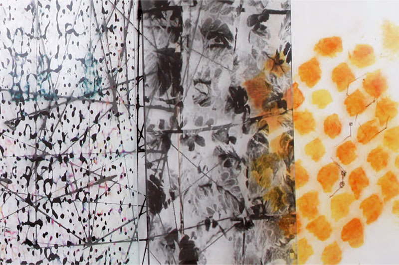 Claudia Thorban, Neue Bilder und Zeichnungen aus der Welt der Farne, Ausstelldauer, 2011, Raum für Malerei, Düsseldorf