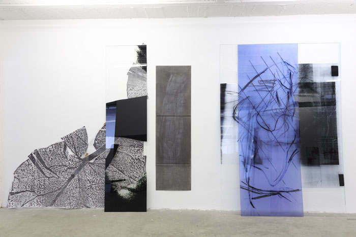 Claudia Thorban, Aronstab, Digitaldruck auf Acrylglas und Papier, Kreide auf Graphitpapier, 2014, Museum im Kleihues-Bau, Kornwestheim