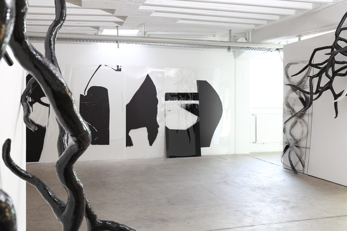 Claudia Thorban und Jenny Winter-Stojanovic, Neufundland, Blick in die Ausstellung