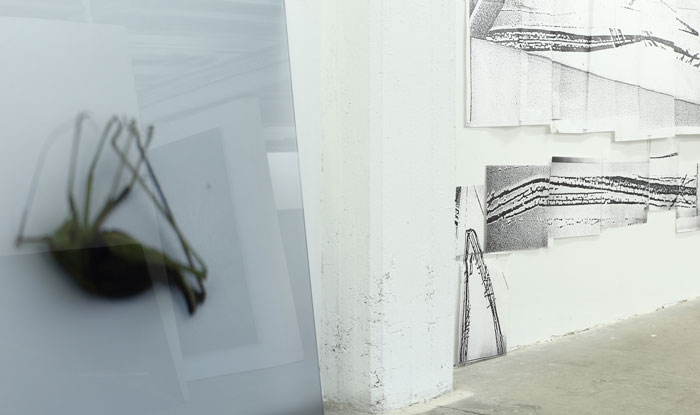Claudia Thorban, Wiese, Installation 2016, Ausschnitt