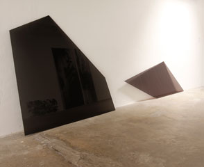 Claudia Thorban, Farn, Rauminstallation, März 2013, Galerie Schacher auf der art Karlsruhe 2013