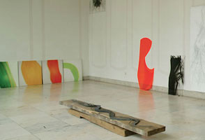 Claudia Thorban, Löwenzahn, Installation, 2004, Ausstellung in der Orangerie im Hofgarten, Kirchberg/Jagst