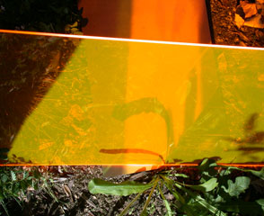 Claudia Thorban, Löwenzahn 05