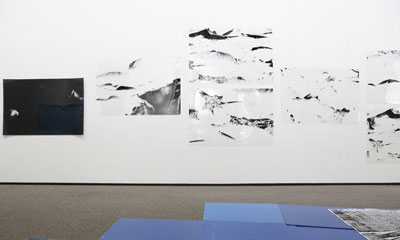 Claudia Thorban, Seerose, 2014, Installation, Galerie Oberlichtsaal, Sindelfingen